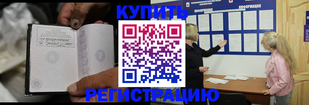 прописка поиск в Ельне